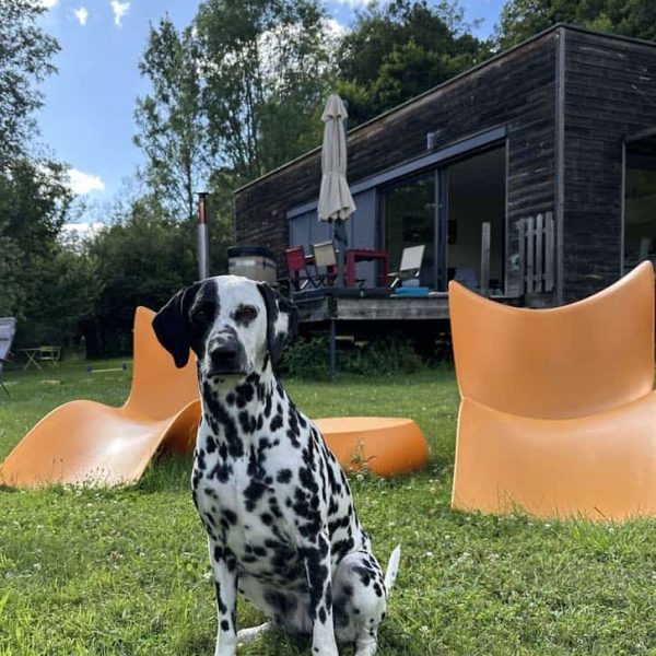 Hund gite-insolite-bourgogne-domaine-pont-roche-dijon
