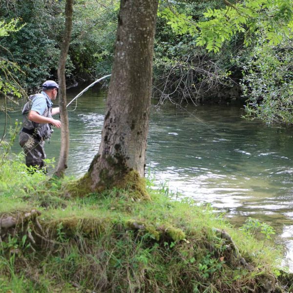 Angeln gite-insolite-bourgogne-domaine-pont-roche-dijon